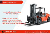 Top 1 Dịch Vụ Cho Thuê Xe Nâng Hàng Tại Bình Dương Uy Tín