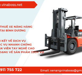 Top 1 Dịch Vụ Cho Thuê Xe Nâng Hàng Tại Bình Dương Uy Tín